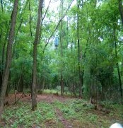 Felszerelési tanácsok