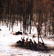 Felszerelési tanácsok